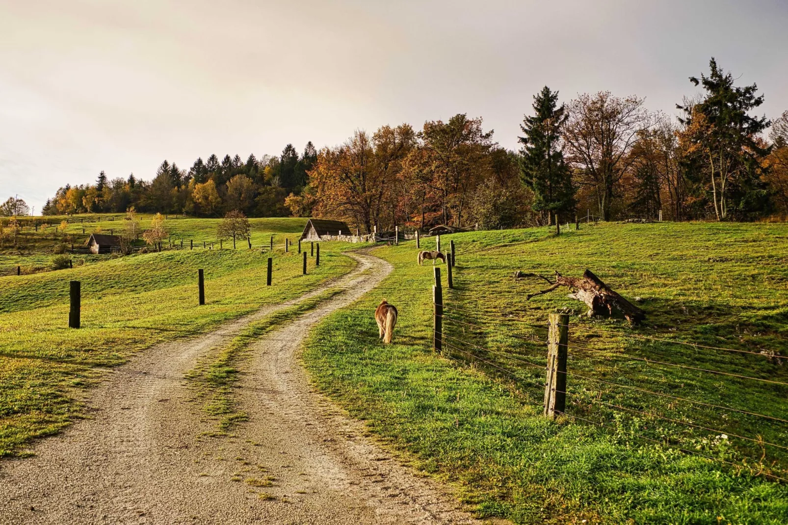 Visnja Gora Meadow Hideaway with Terrace - One Bedroom Cottage with Terrace (owner Hiška na skalci)-Buitenlucht