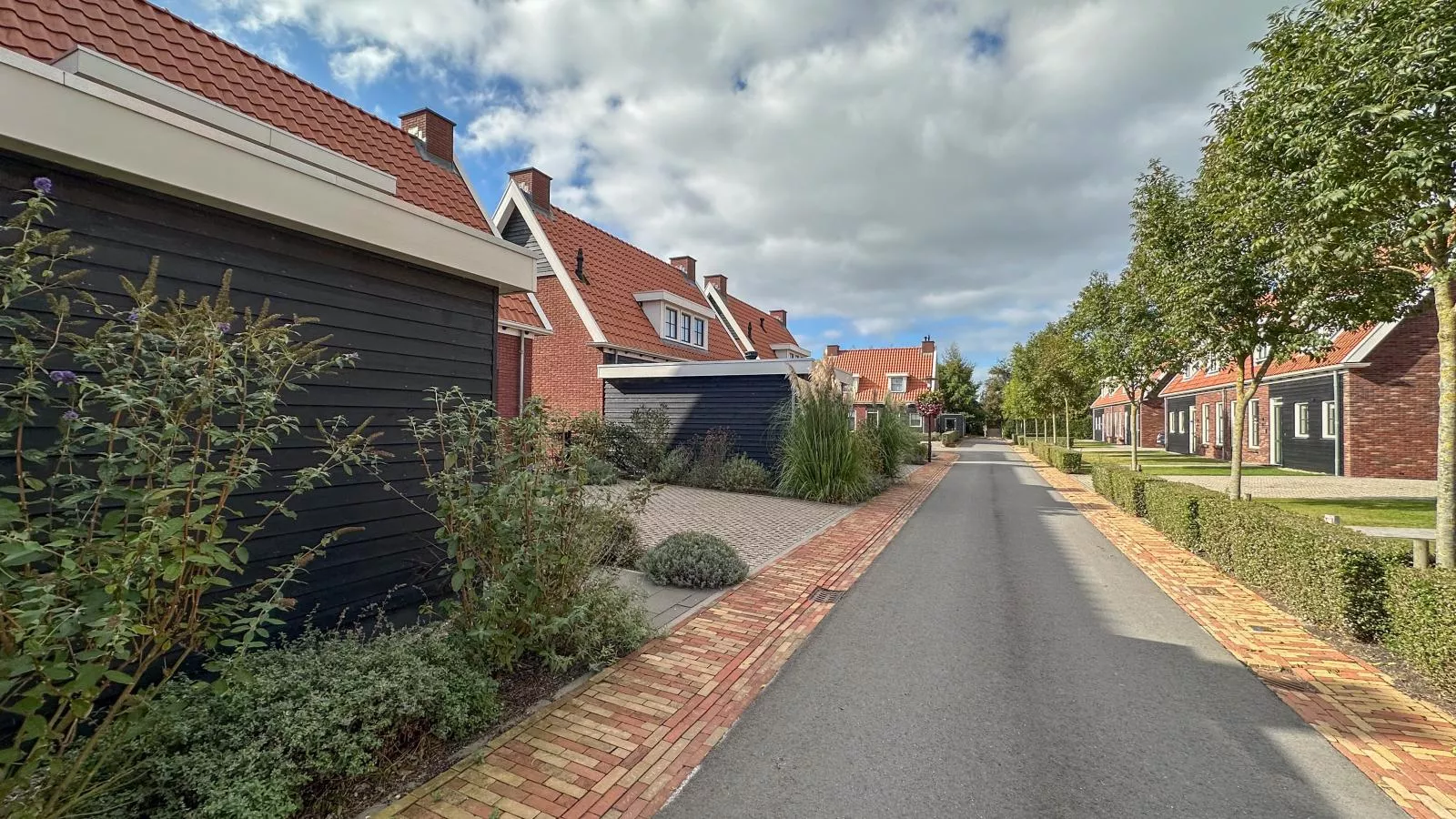 Coast and Calm 63-Gebieden zomer 1km