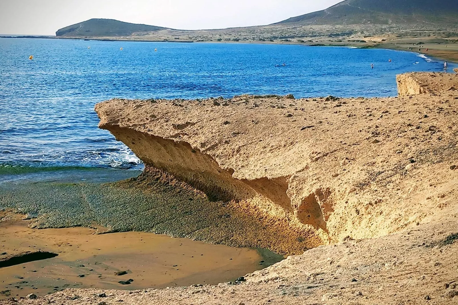 Delfin 69 2d-Gebieden zomer 20km