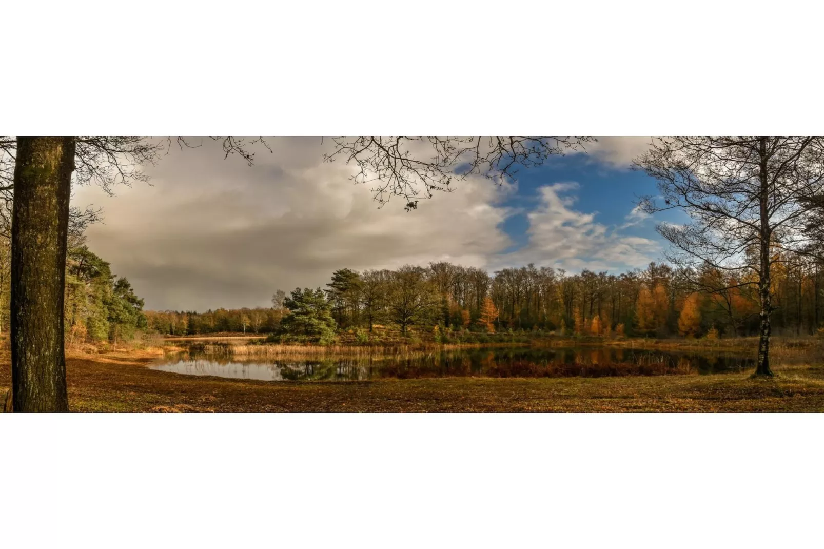 Reestdal lodge | 6 persoons - Gebieden zomer 20km