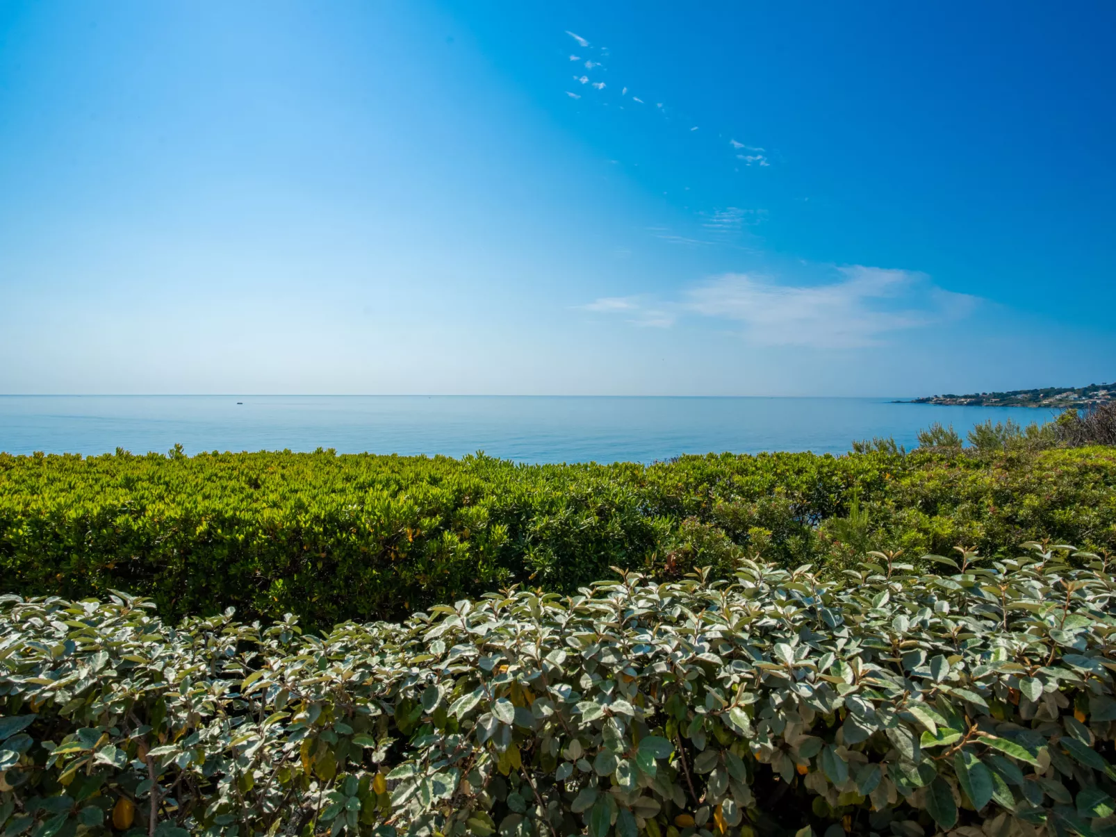 Les Maures de l'Esterel-Buiten