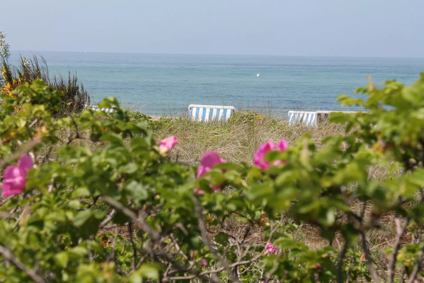 Zum Breitling-Gebieden zomer 5km