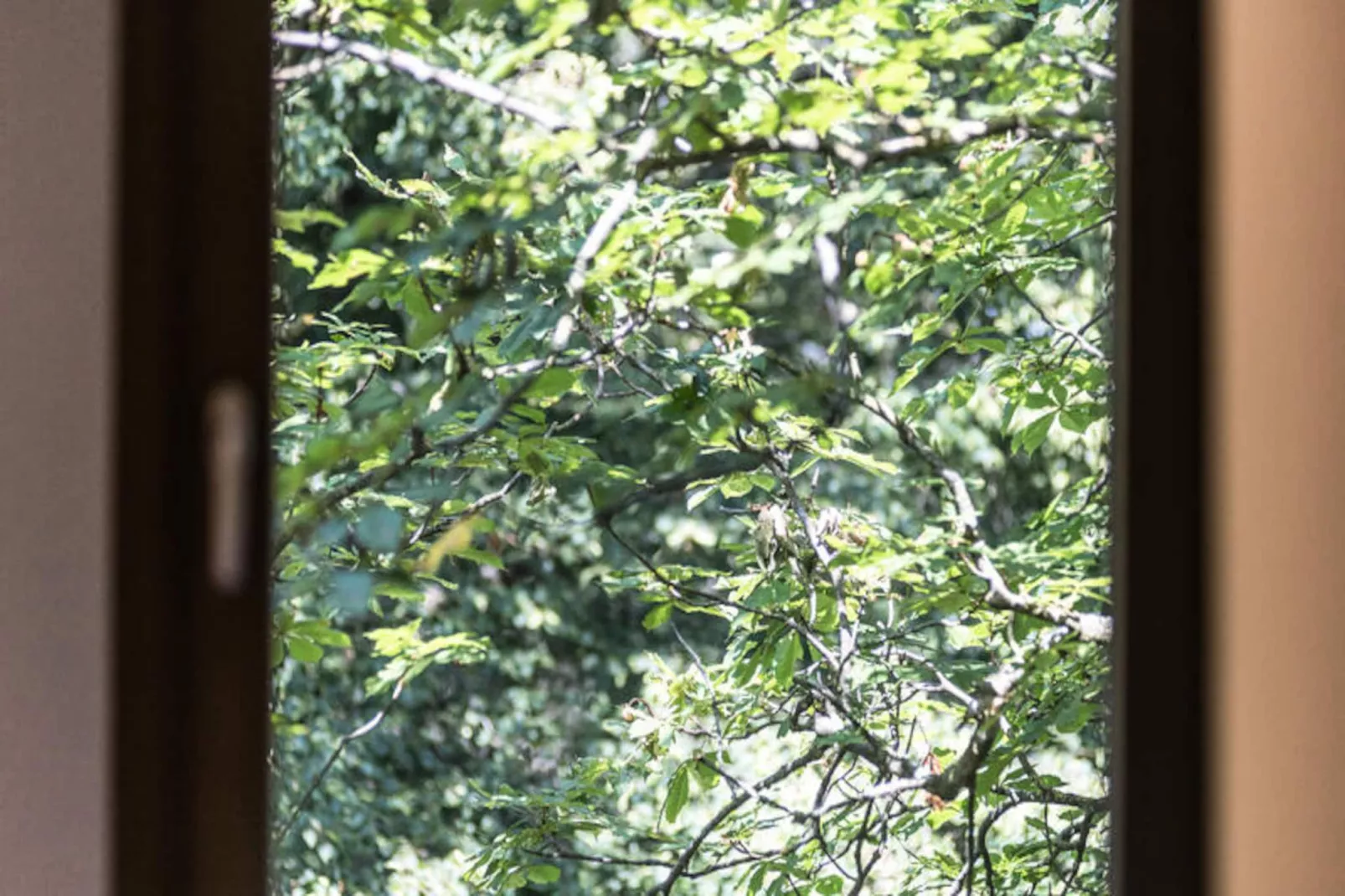 Maison à Sant Hilari Sacalm-Niet-getagd