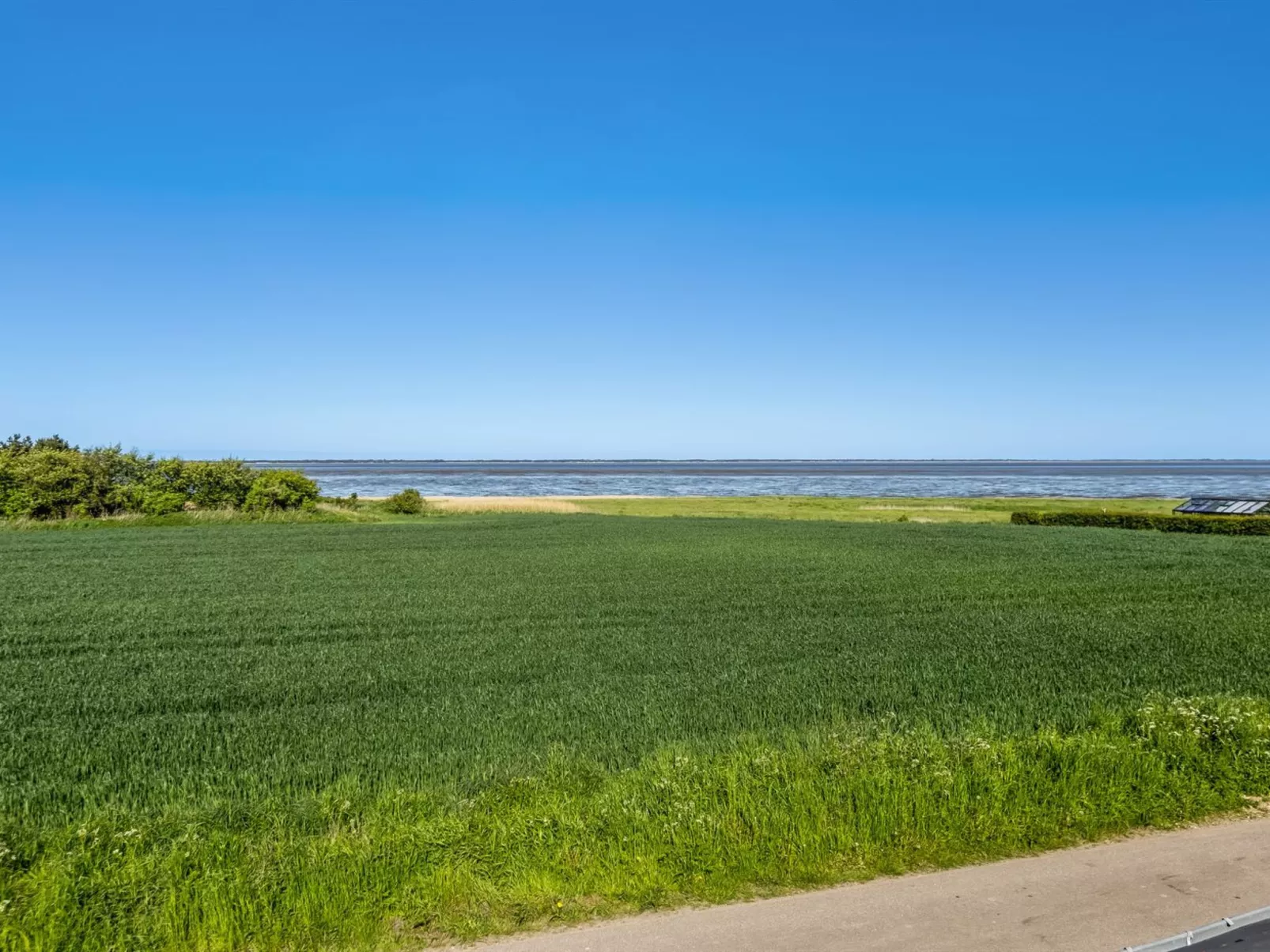 "Kielo" - 10km from the sea-Buiten