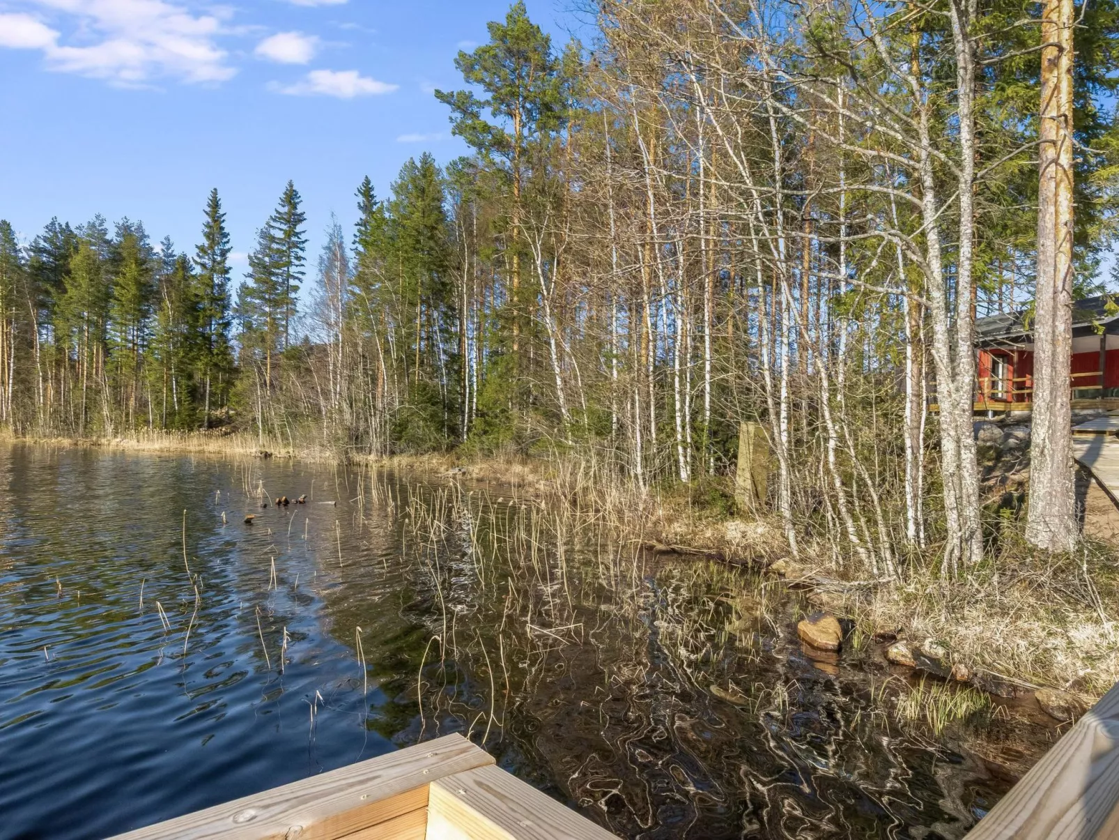 Järven idylli-Binnen