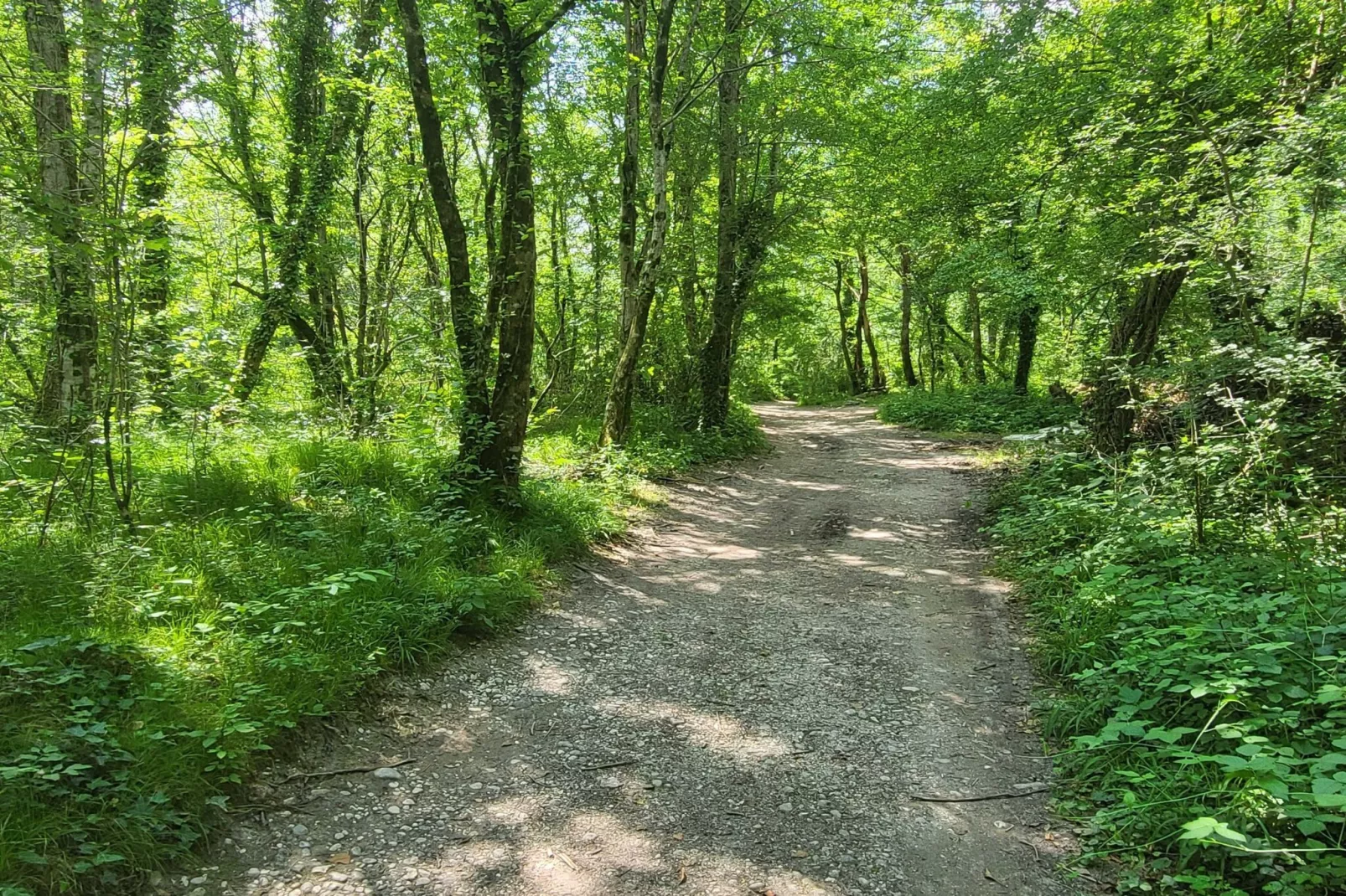 Peaceful Countryside Holiday Home with Terrace - One Bedroom Holiday Home with Terrace-Buitenlucht