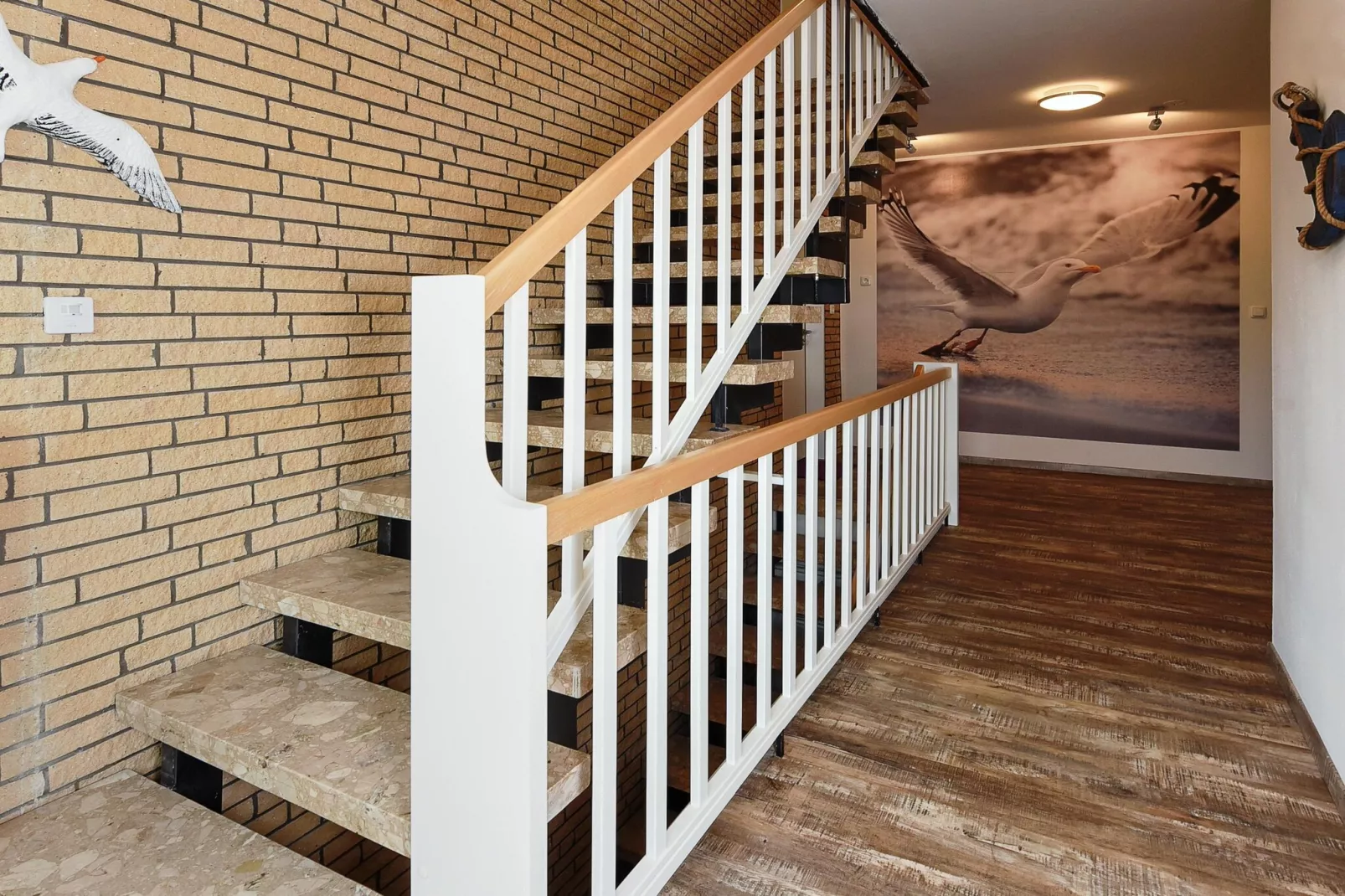 Haus zur Möwe 3 - Trap