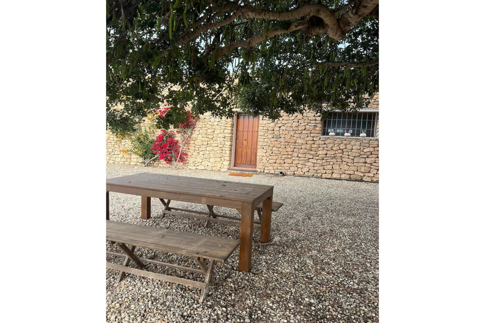 CT 354 AL - Faro's Casa Piedra - Agua Amarga - Cabo de Gata-Tuinen zomer