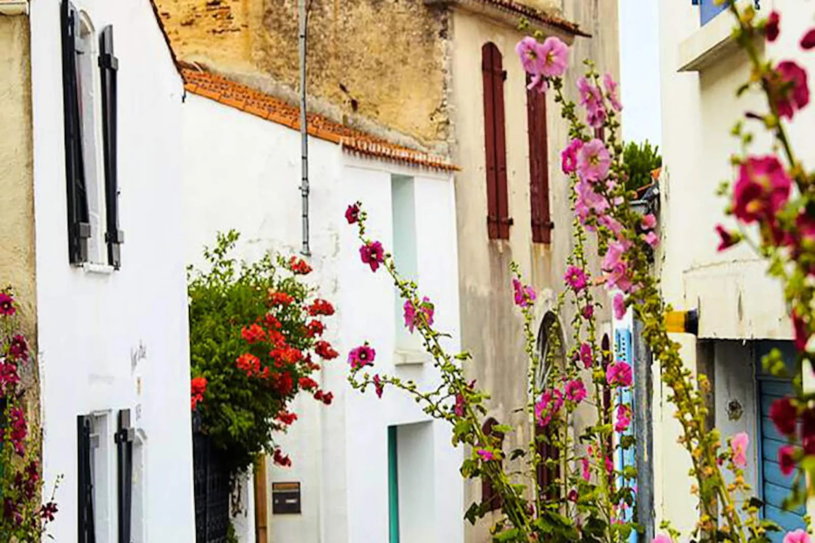 Appartements à Saint-Gilles-Croix-de-Vie-Niet-getagd