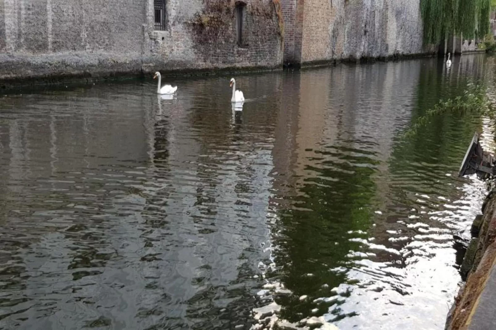 Manderley 0304-Gebieden zomer 20km