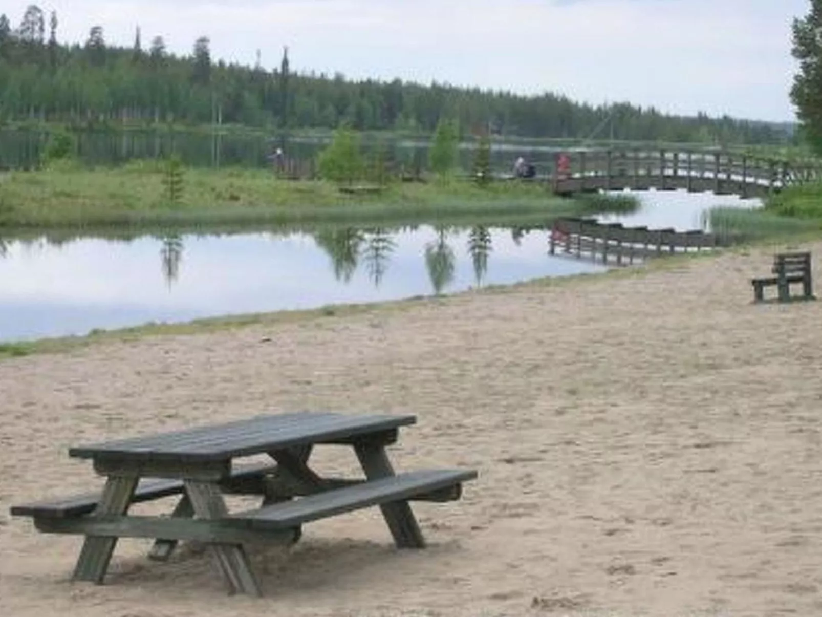 Sallanhelmi a2-Binnen