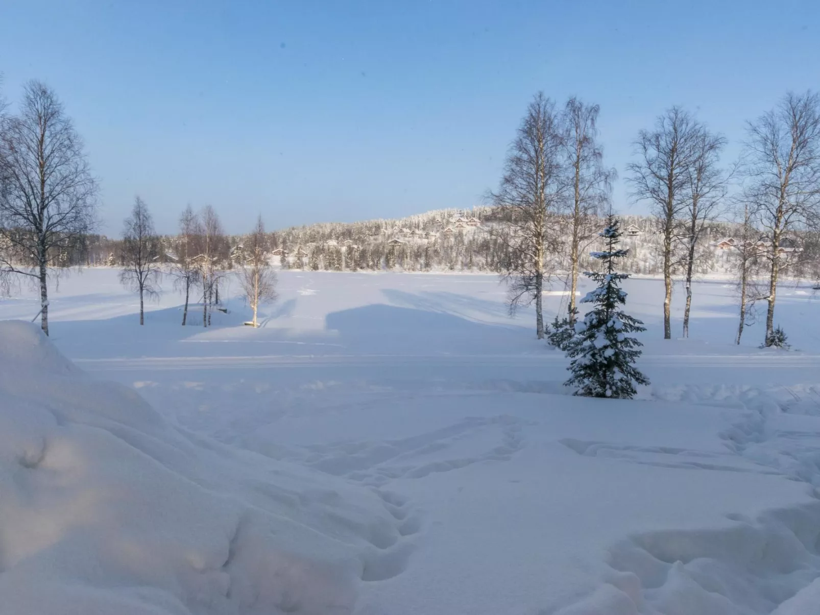 Hallan karhu b, paritalo-Binnen