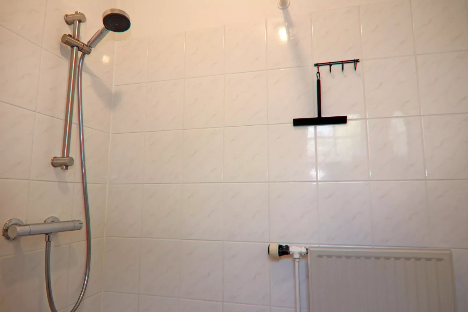 Ferienhaus Rebhuhnweg-Badkamer