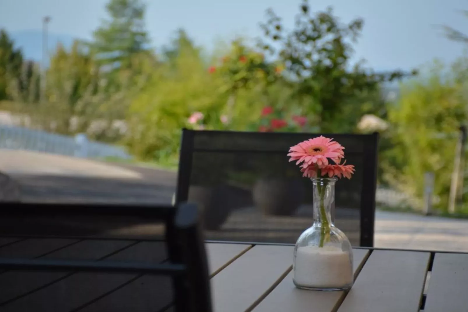 Zevnik Quiet Retreat with Stunning Views and Equestrian Activities - Standard One Bedroom Apartment-Buitenlucht