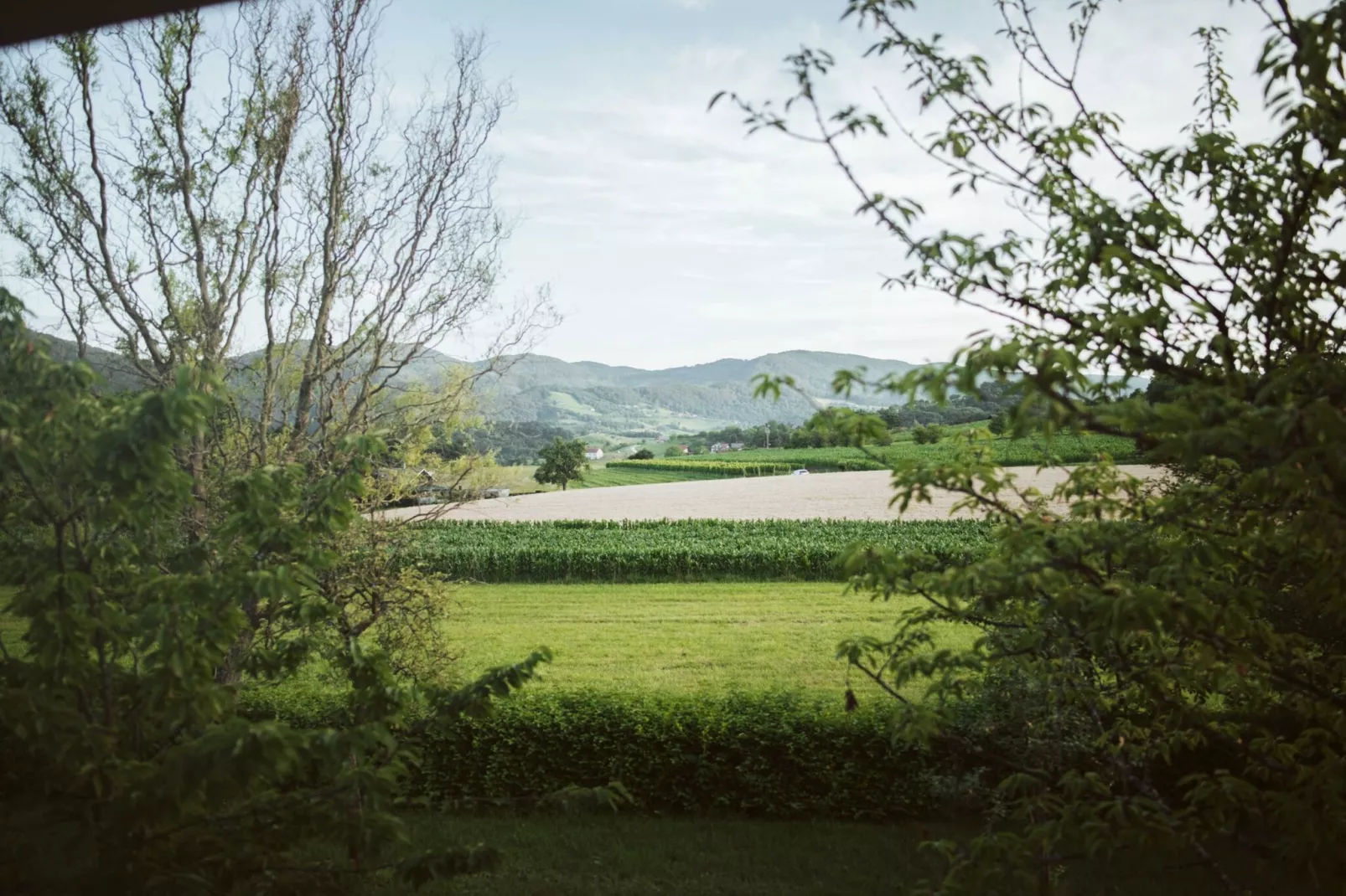 Cozy Holiday Home with Fireplace and Scenic Hills in Bistrica ob Sotli - Two Bedroom Holiday Home-Uitzicht