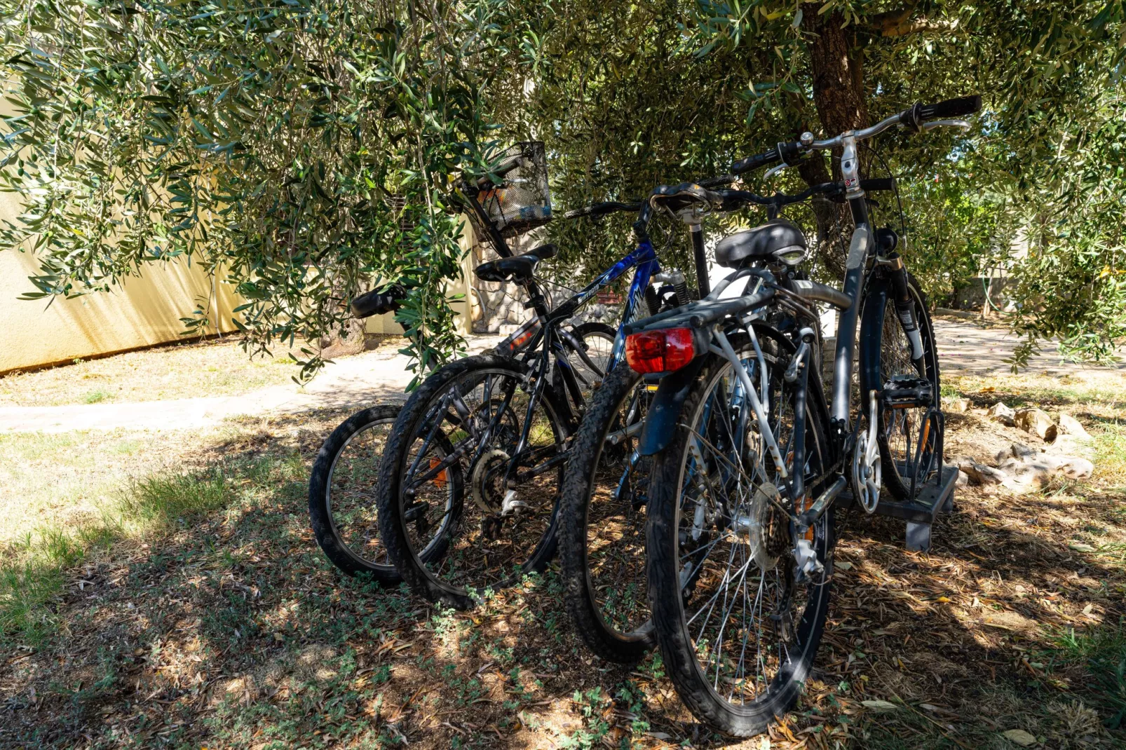 Holiday home Olive Garden-Faciliteiten