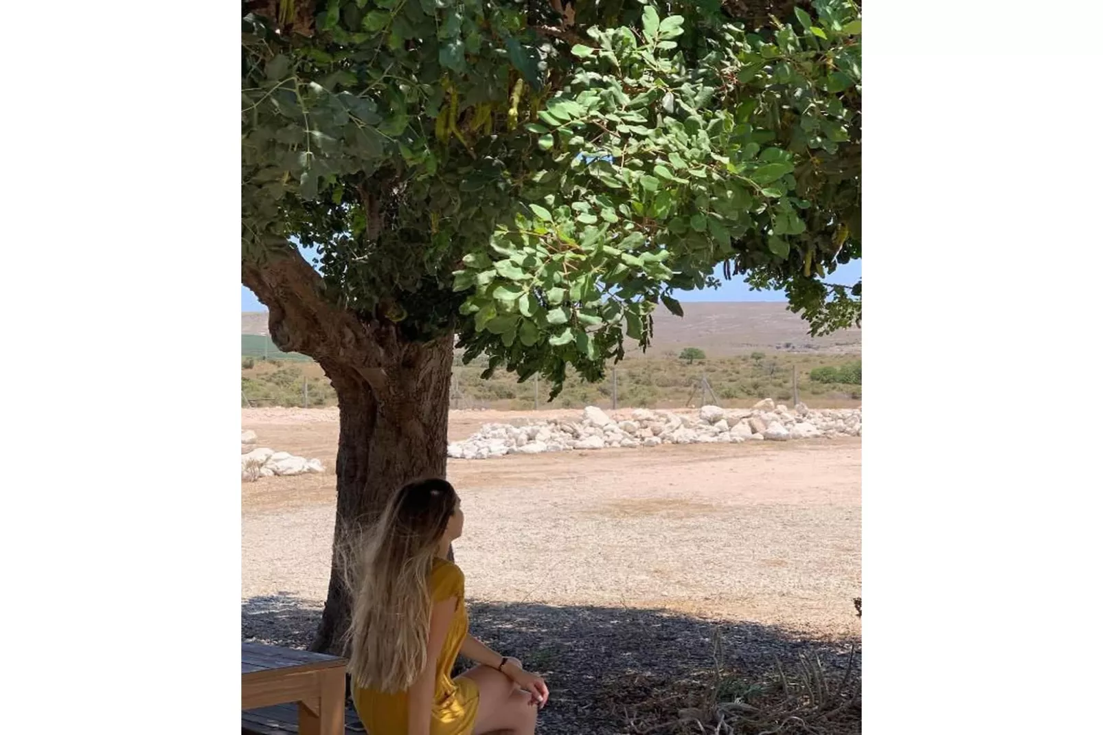 CT 354 AL - Faro's Casa Piedra - Agua Amarga - Cabo de Gata