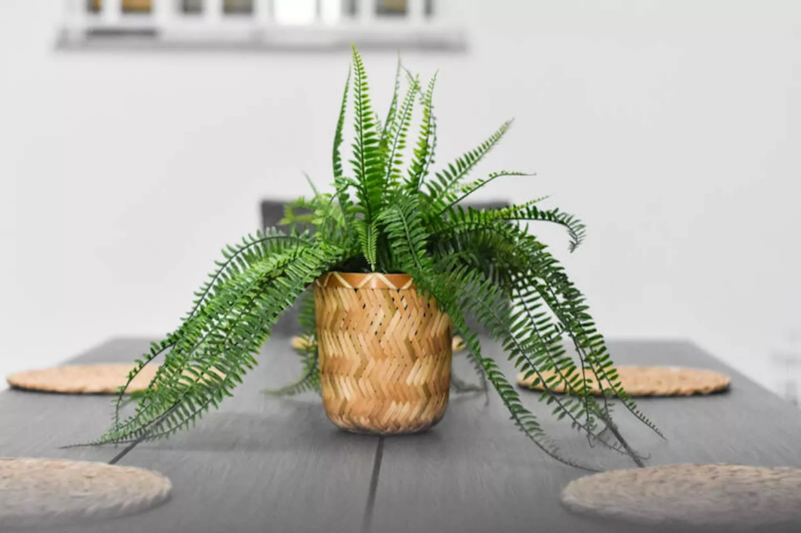 Maison à Moncofar-Niet-getagd