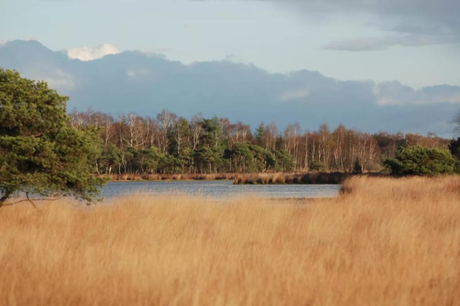 Vakantiepark Molenvelden 6-Gebieden zomer 20km
