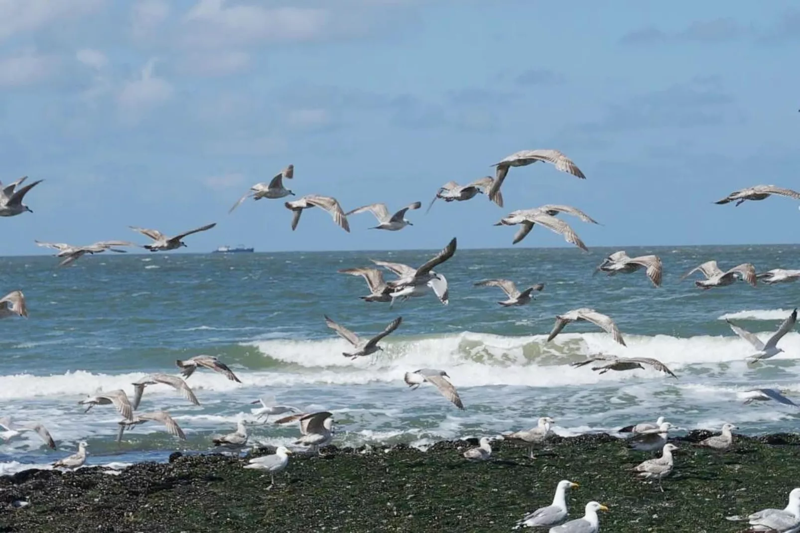 De Biotoop-Gebieden zomer 20km