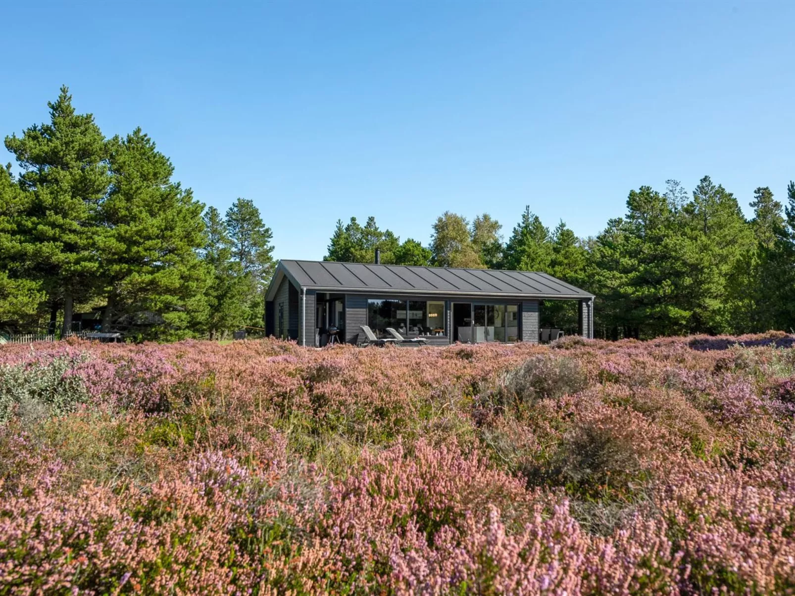 "Tea" - 2.7km from the sea-Buiten