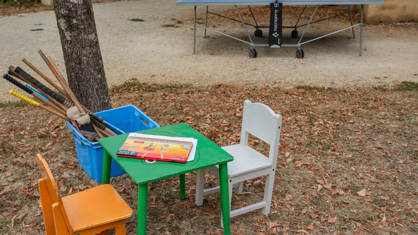 Orchidee-Faciliteiten