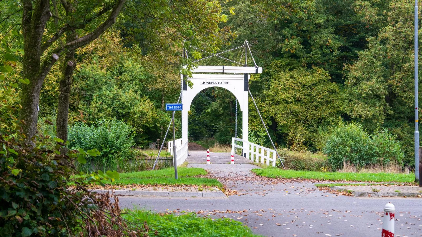 Rutershoeske-Gebieden zomer 1km