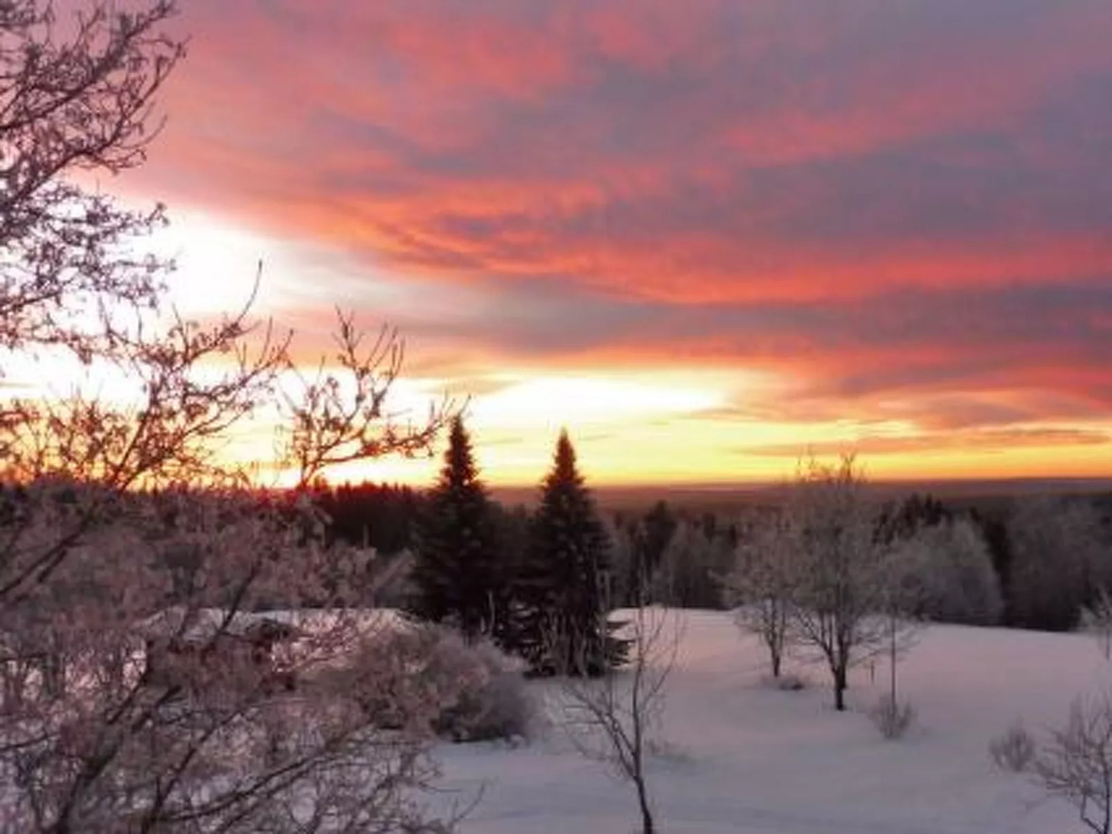 Vaaran loma-asunto-Binnen