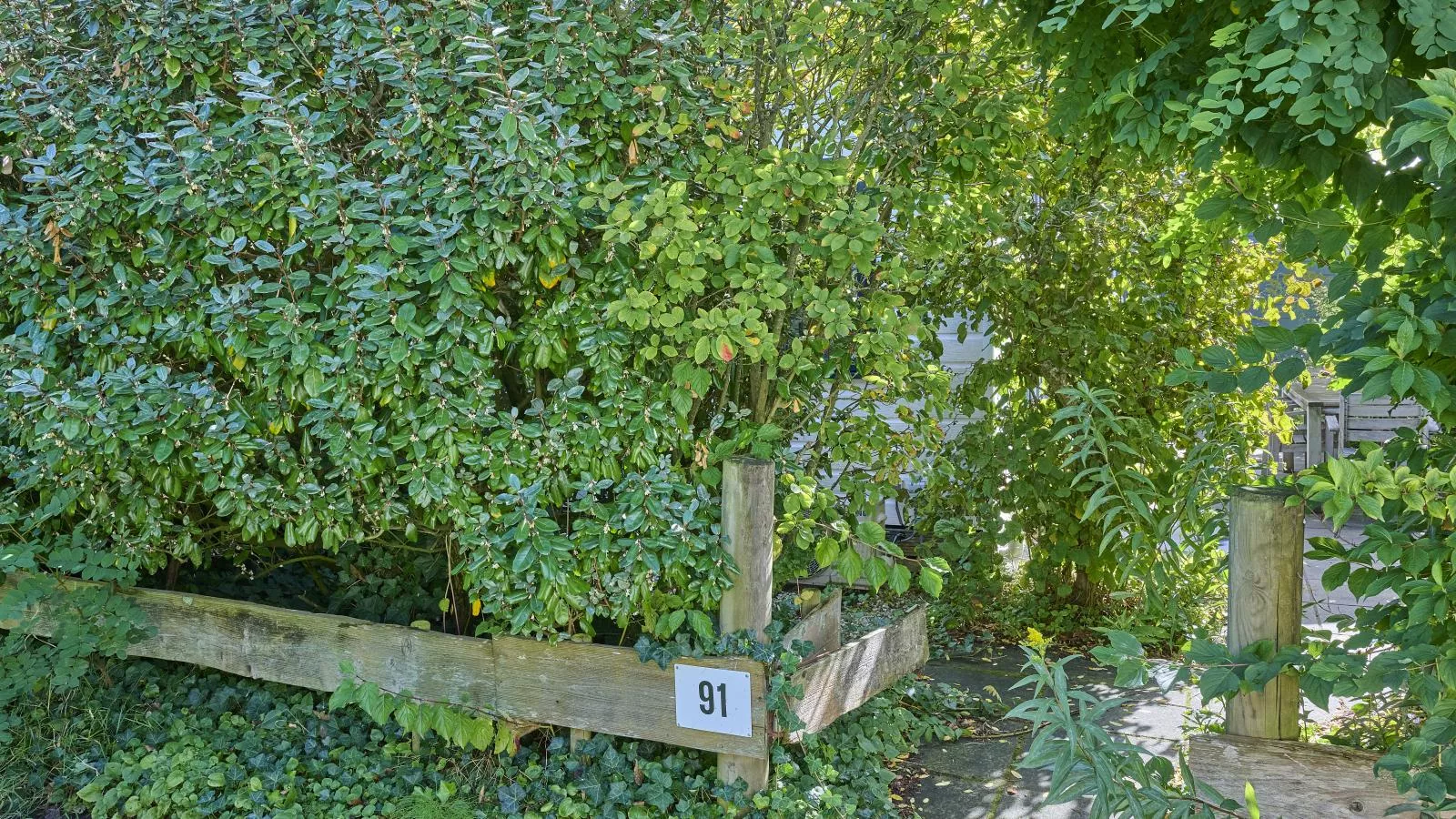 Chalet Sea Birds-Tuinen zomer