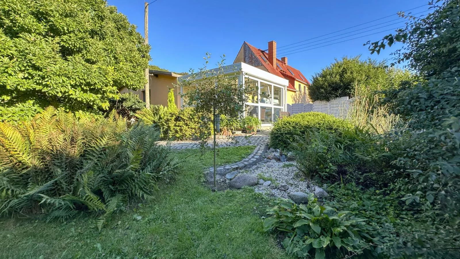 Vogel-Buitenkant zomer