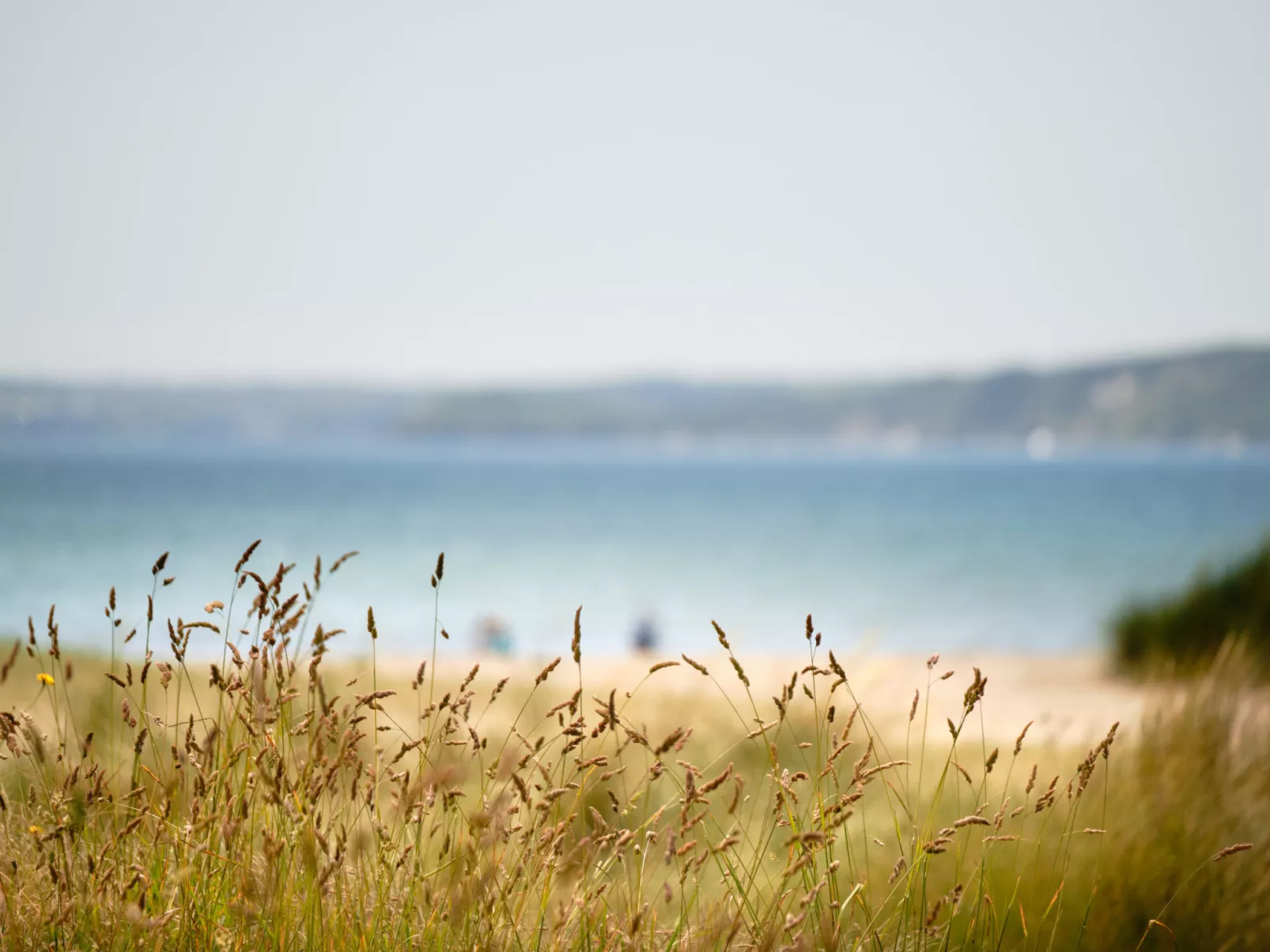 Primrose Cottage-Buiten