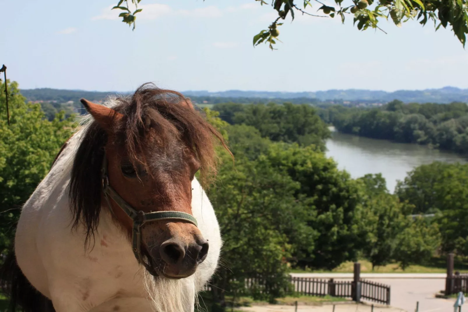 Zevnik Quiet Retreat with Stunning Views and Equestrian Activities - Family Room with Private Bathroom 8-Buitenlucht