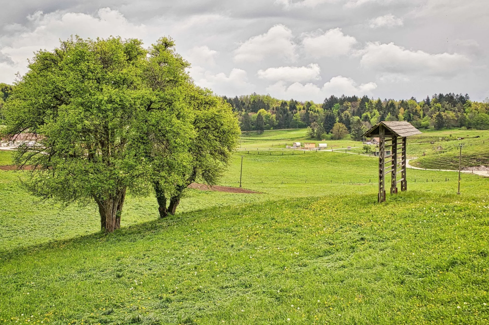 Visnja Gora Meadow Hideaway with Terrace - One Bedroom Cottage with Terrace (owner Hiška na skalci)-Buitenlucht