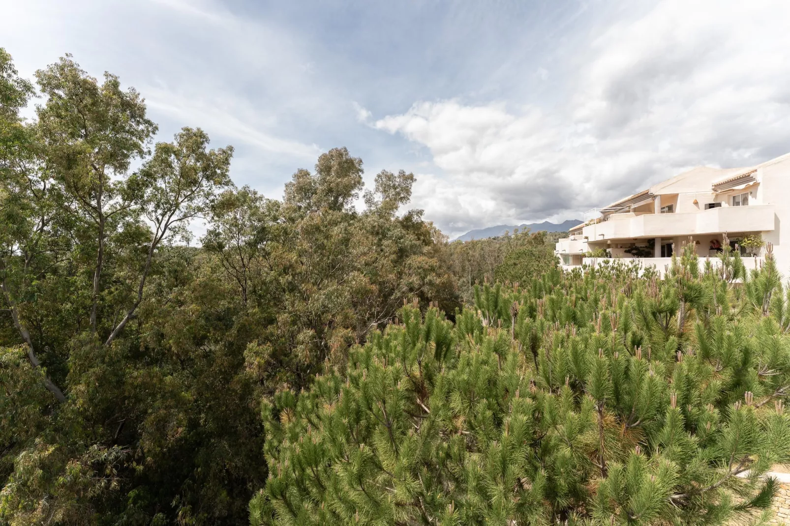 CT 366 - Faro's Silent Dream in Elviria - Marbella-Gebieden zomer 5km