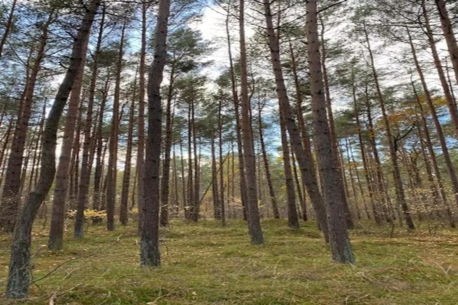 Hausboot in Peenemünde-Gebieden zomer 20km
