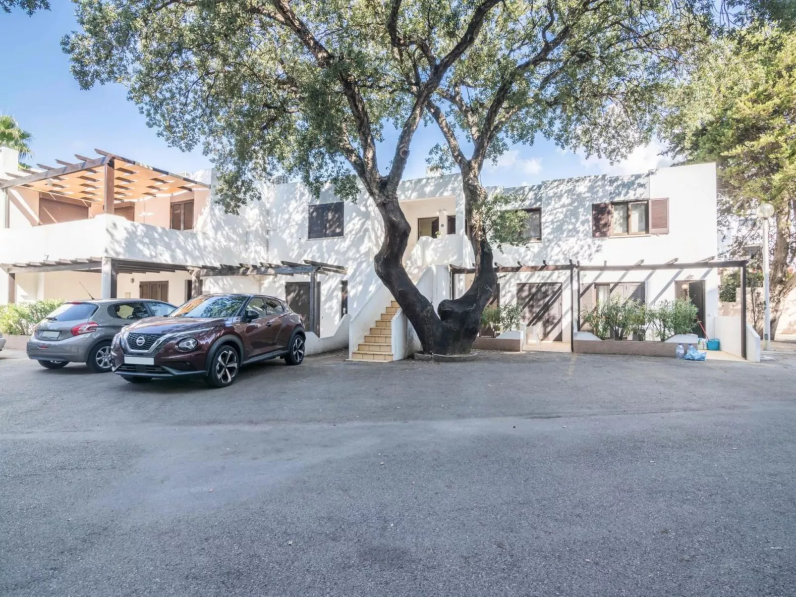 Patrick - Sunny Way-Buiten