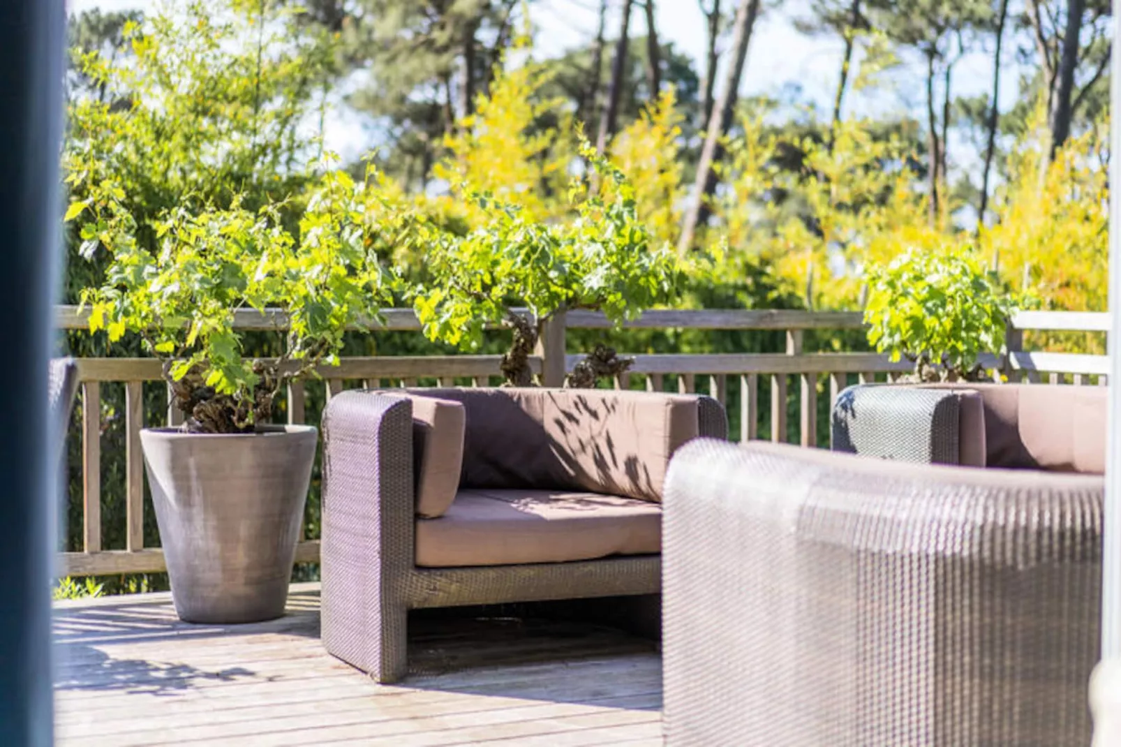 Maison à Pyla sur Mer-Niet-getagd