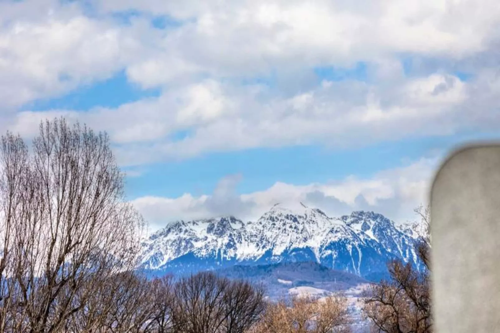 | The Precious 💎 Paul Mistral-Niet-getagd