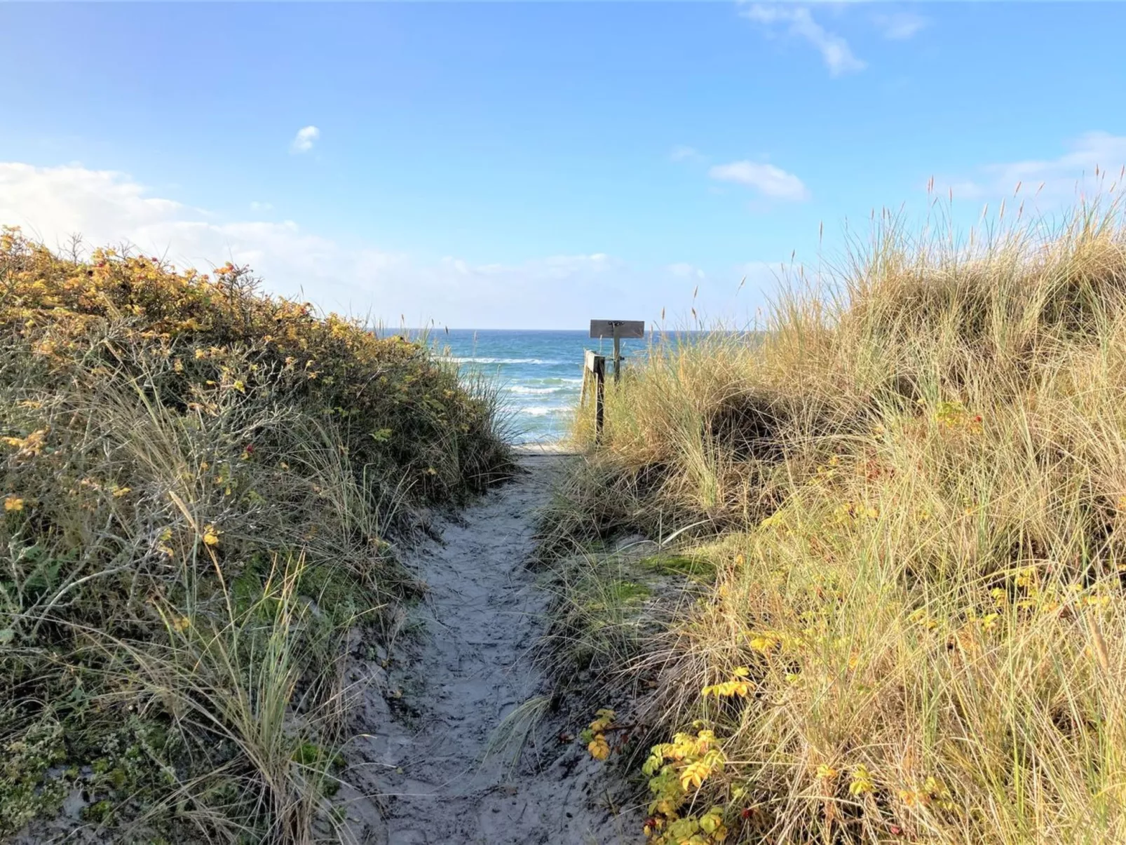 "Osa" - 150m from the sea-Buiten