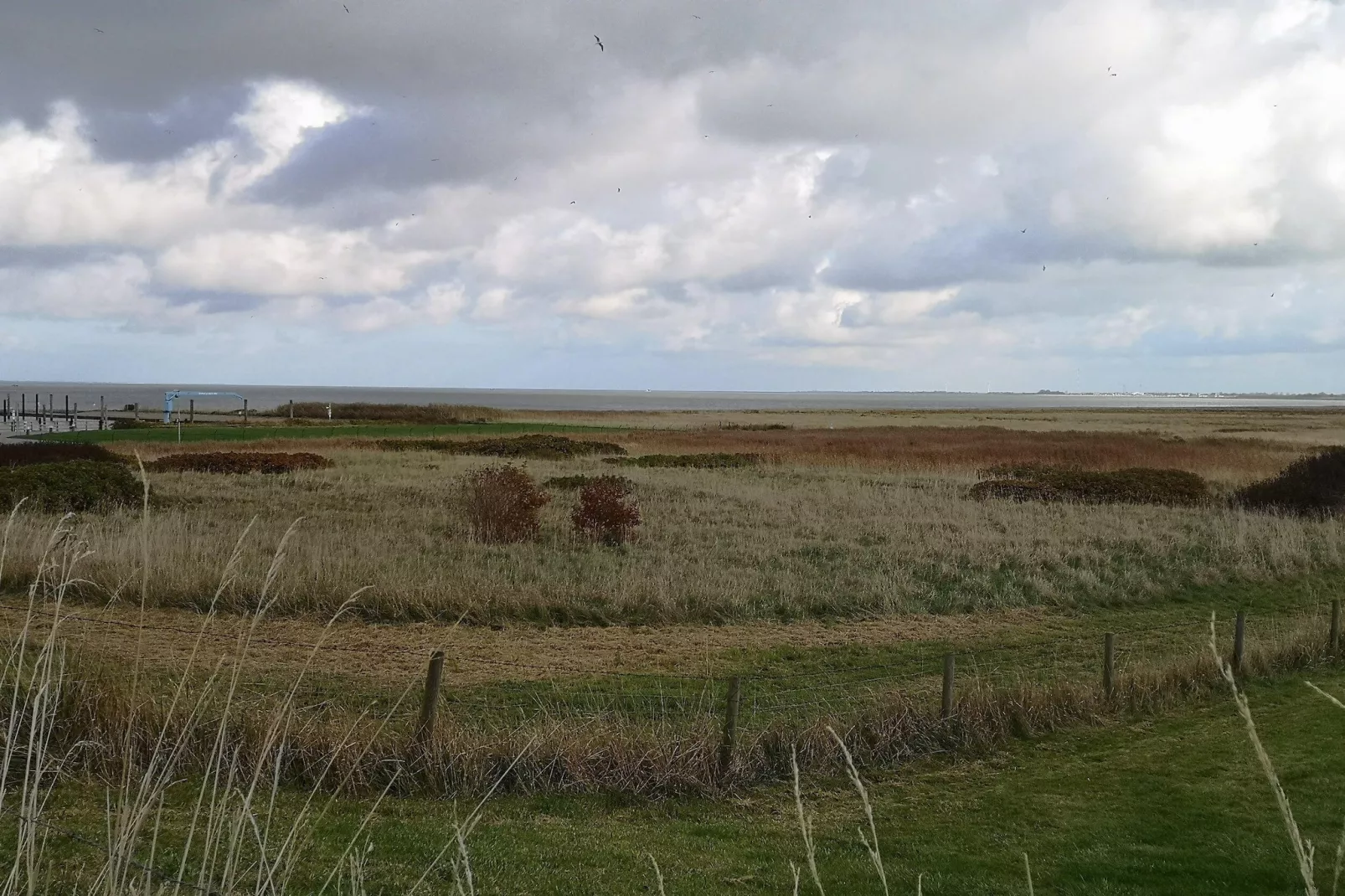 Ferienhaus Seeschwalbe-Gebieden zomer 5km
