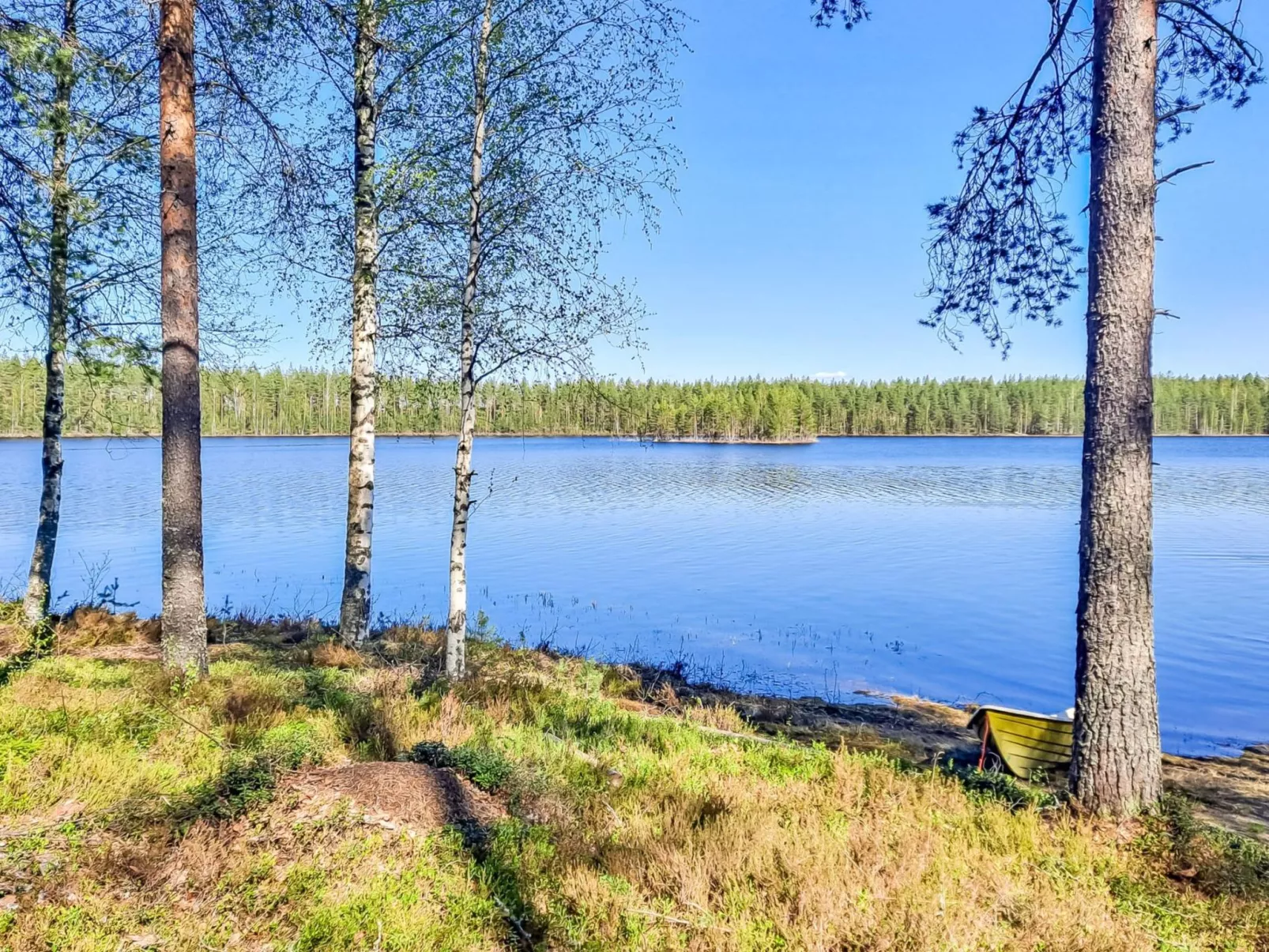 Pilkkaniemi - Binnen