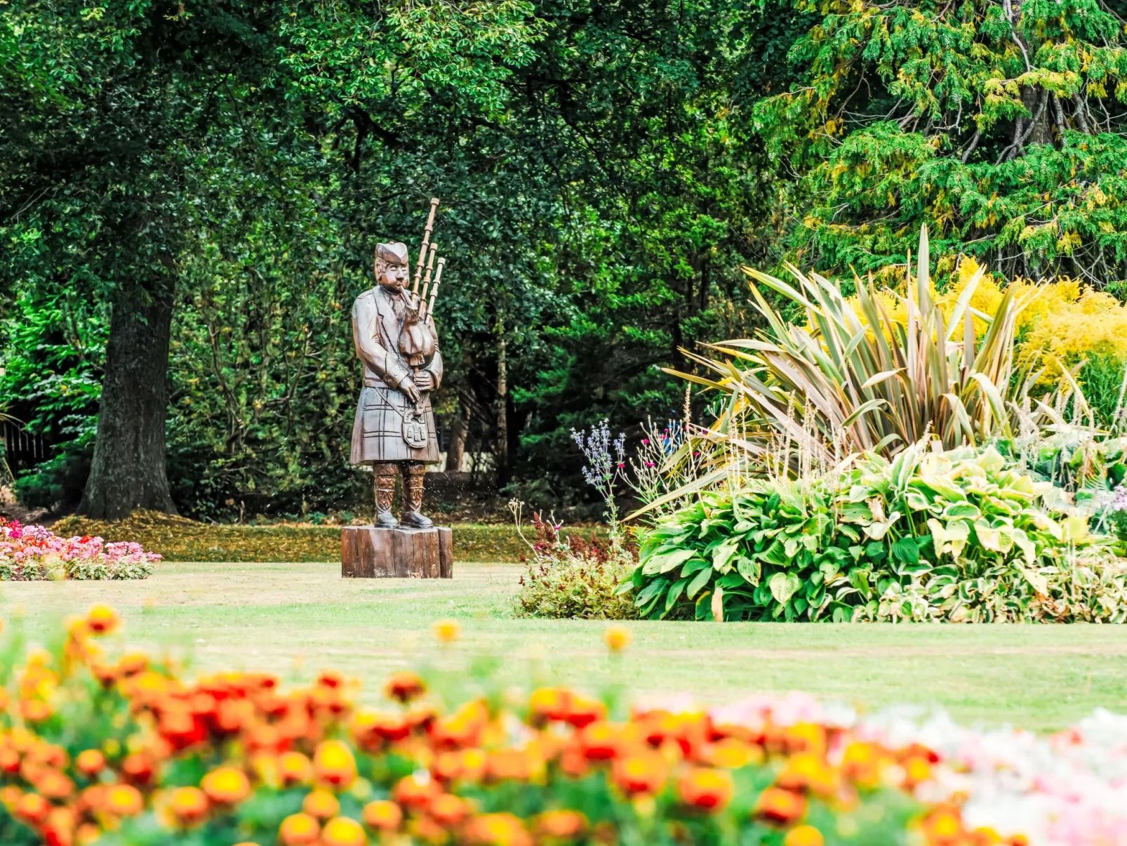 Varis Haven-Omgeving