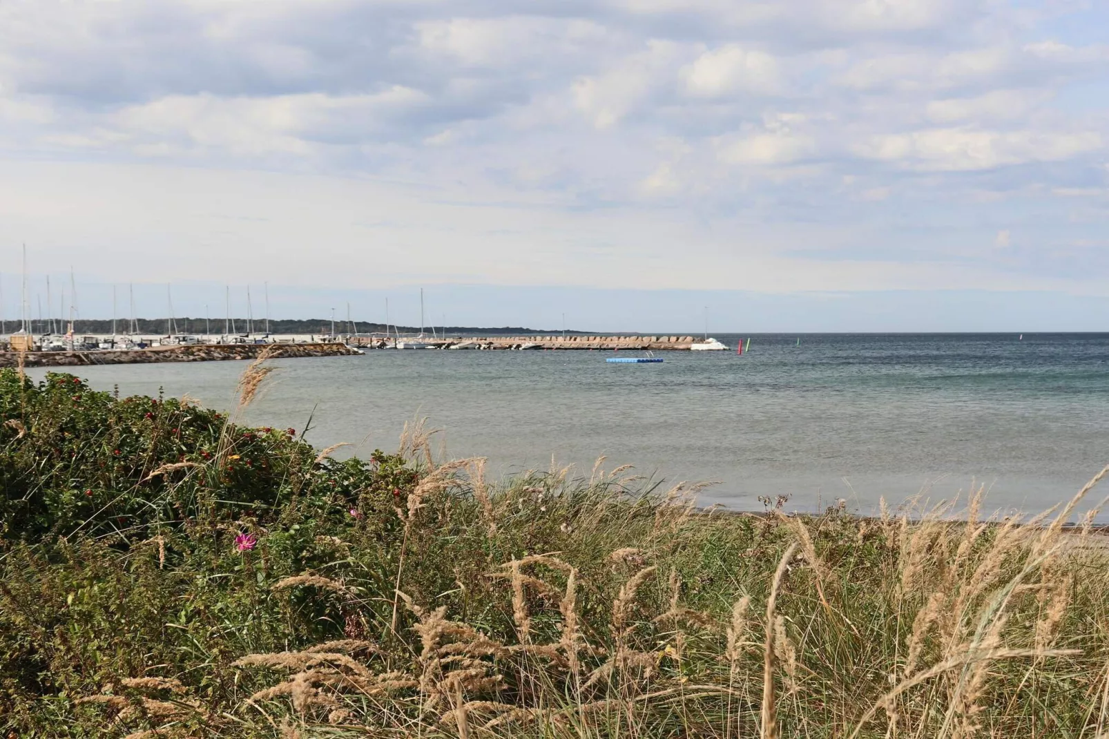 5 sterren vakantie huis in Torekov-Niet-getagd