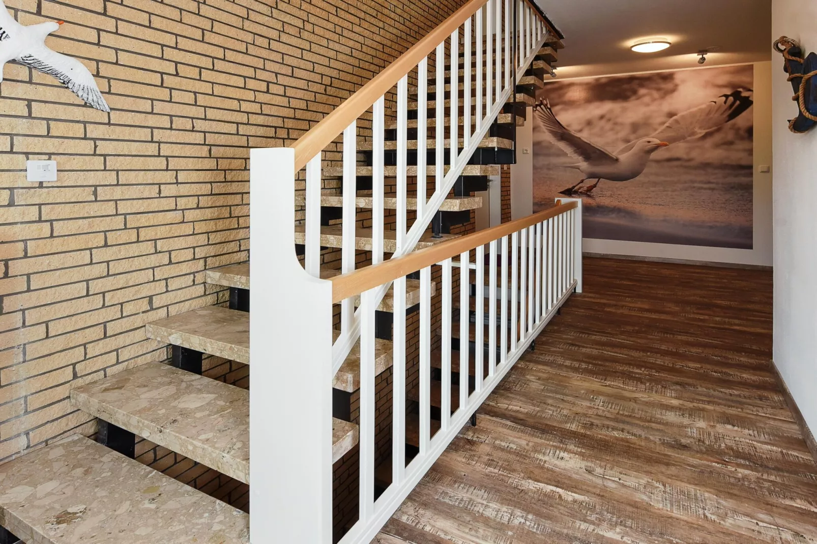 Haus zur Möwe 2 - Trap