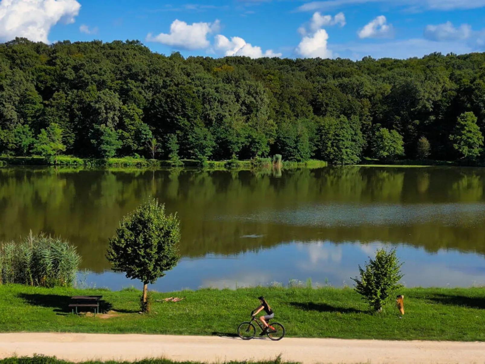 Vila Breg 1-Omgeving