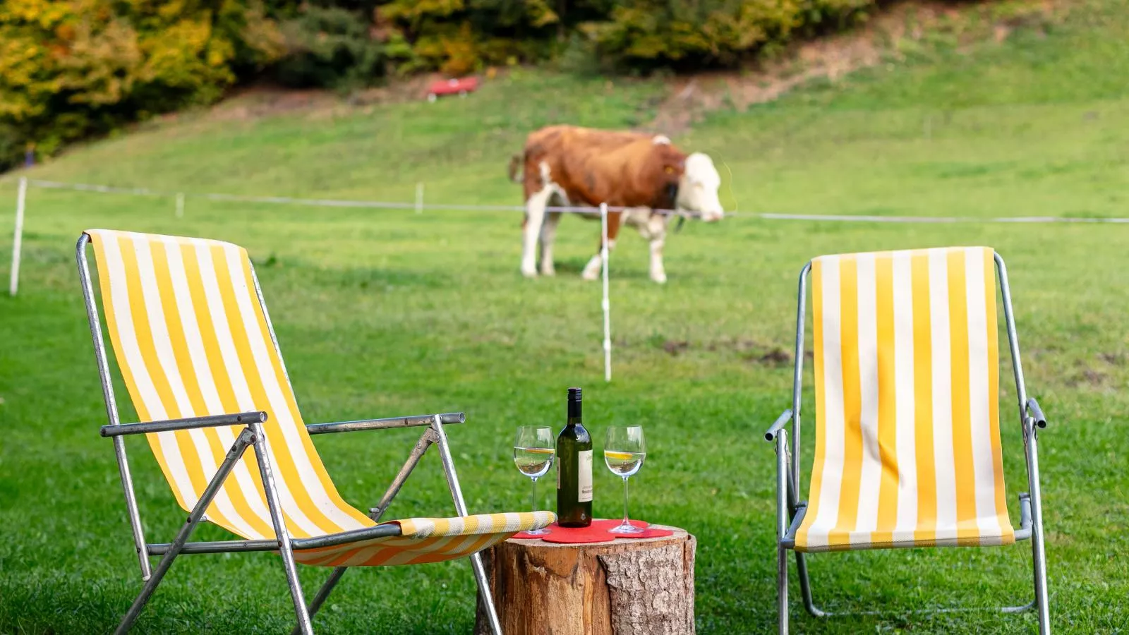 Tiroler Bergtraum Top 1 und 2-Tuinen zomer