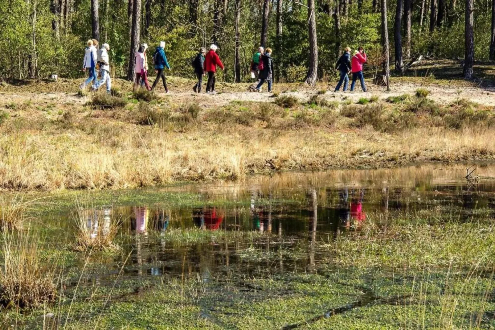 Vakantiepark Molenvelden 6-Gebieden zomer 20km
