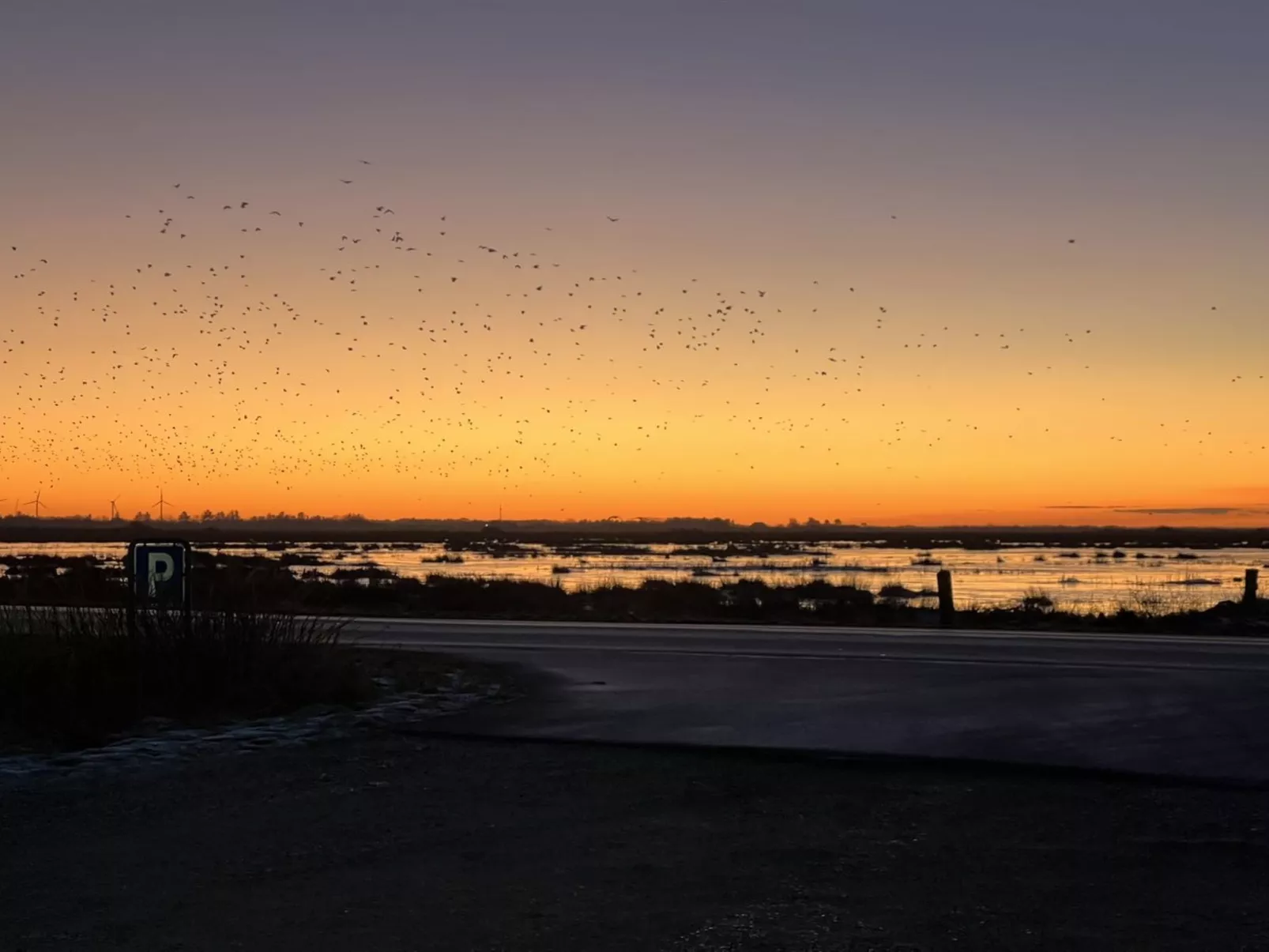"Ronja" - 100m to the fjord-Buiten