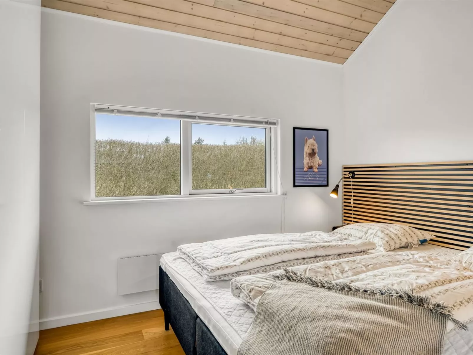 "Kato" -  from the sea-Binnen