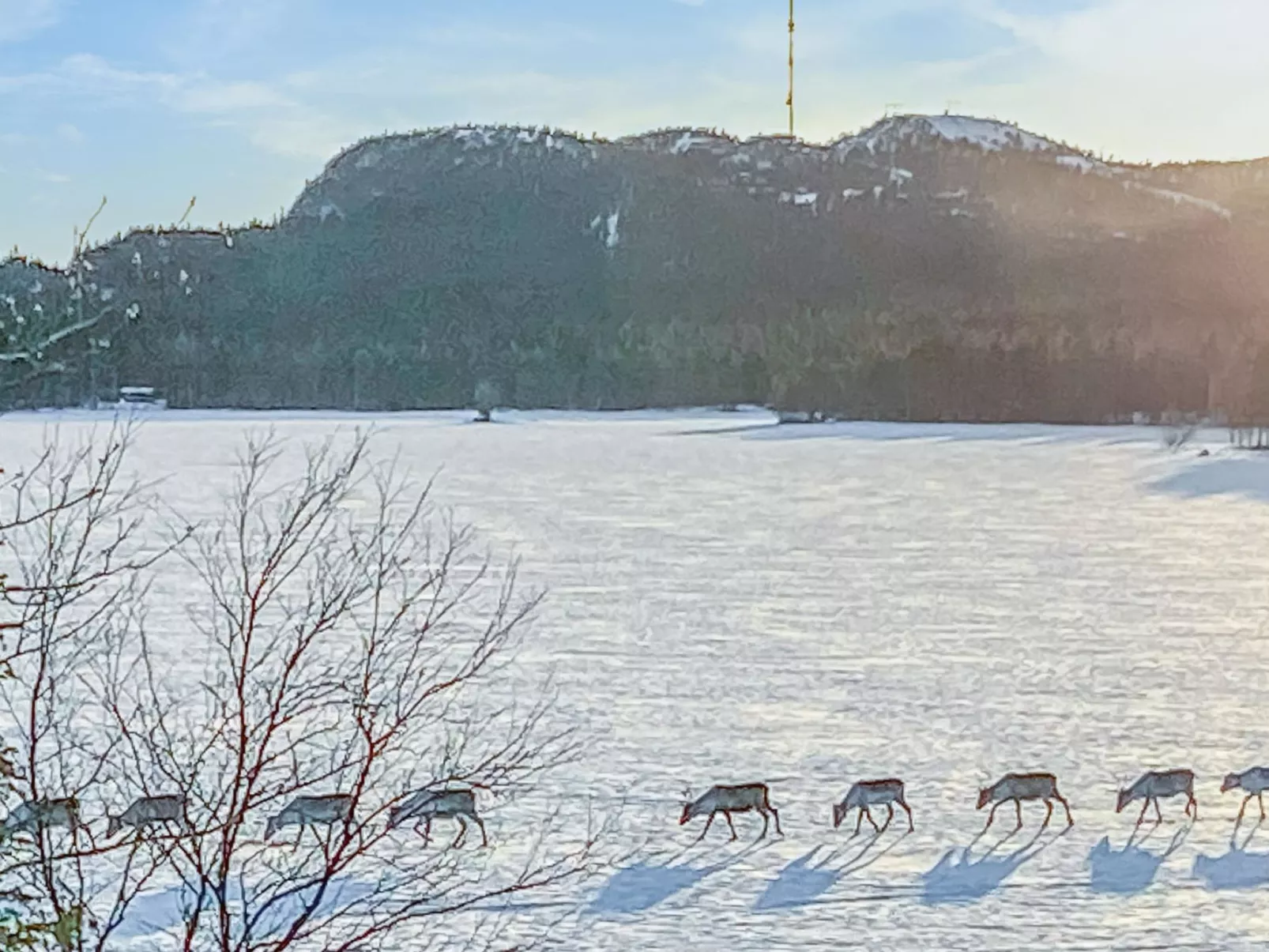 Rukaniemen kontio-Binnen